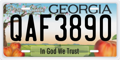 GA license plate QAF3890