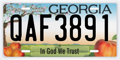 GA license plate QAF3891