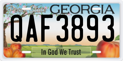 GA license plate QAF3893