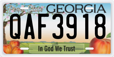 GA license plate QAF3918