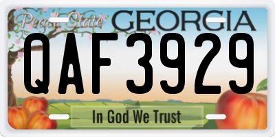 GA license plate QAF3929