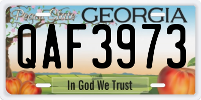 GA license plate QAF3973