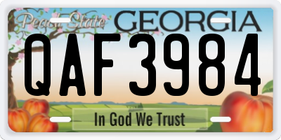 GA license plate QAF3984