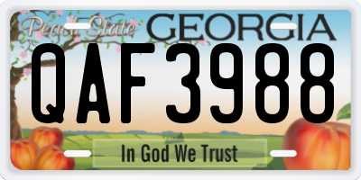 GA license plate QAF3988