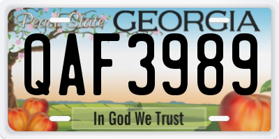 GA license plate QAF3989