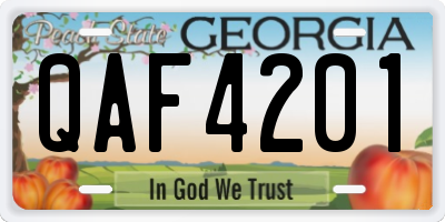 GA license plate QAF4201