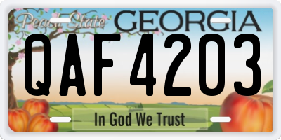 GA license plate QAF4203