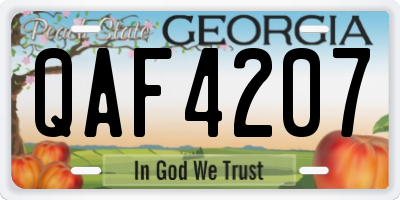 GA license plate QAF4207