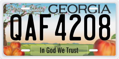 GA license plate QAF4208