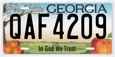 GA license plate QAF4209