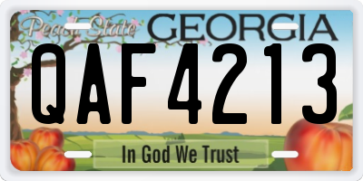 GA license plate QAF4213