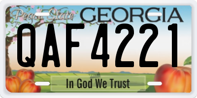 GA license plate QAF4221