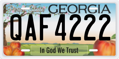 GA license plate QAF4222