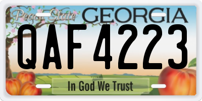 GA license plate QAF4223
