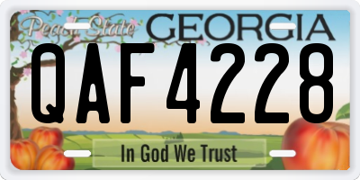 GA license plate QAF4228