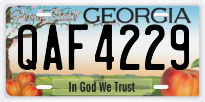GA license plate QAF4229