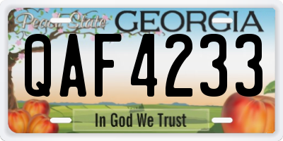GA license plate QAF4233