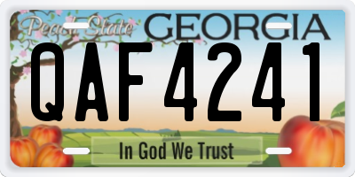 GA license plate QAF4241