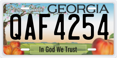 GA license plate QAF4254