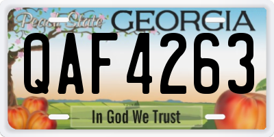 GA license plate QAF4263