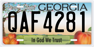 GA license plate QAF4281