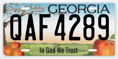 GA license plate QAF4289