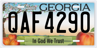 GA license plate QAF4290