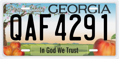 GA license plate QAF4291