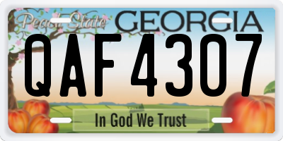 GA license plate QAF4307