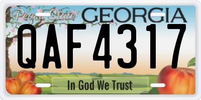 GA license plate QAF4317