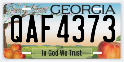 GA license plate QAF4373