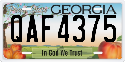 GA license plate QAF4375
