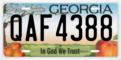 GA license plate QAF4388