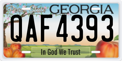 GA license plate QAF4393