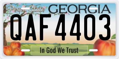 GA license plate QAF4403