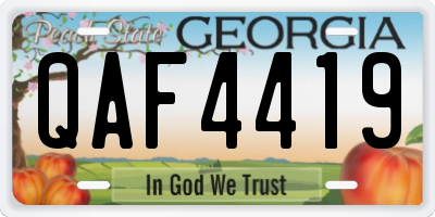 GA license plate QAF4419
