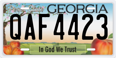 GA license plate QAF4423