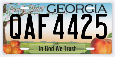 GA license plate QAF4425