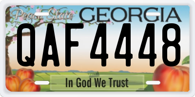GA license plate QAF4448