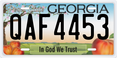 GA license plate QAF4453