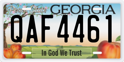 GA license plate QAF4461