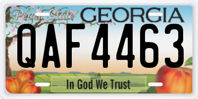 GA license plate QAF4463