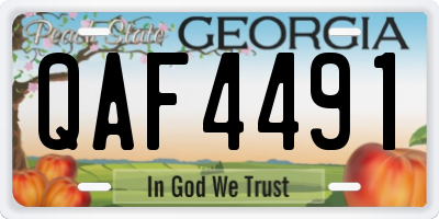 GA license plate QAF4491