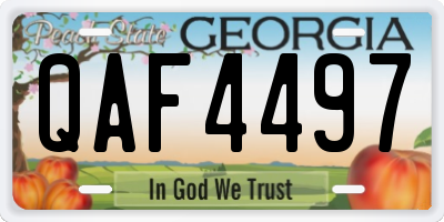 GA license plate QAF4497
