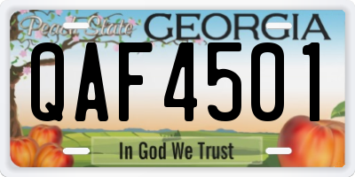 GA license plate QAF4501