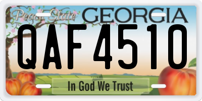 GA license plate QAF4510