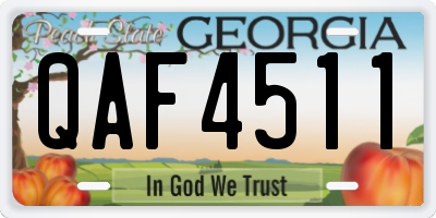 GA license plate QAF4511