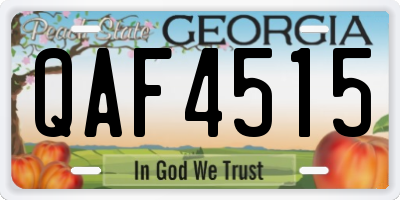 GA license plate QAF4515
