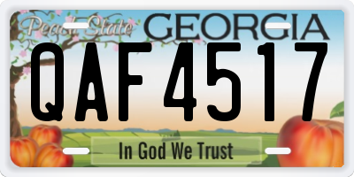 GA license plate QAF4517
