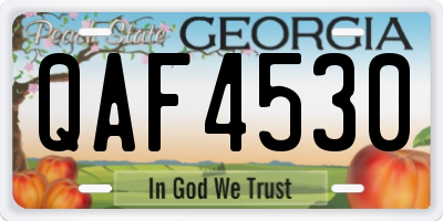 GA license plate QAF4530